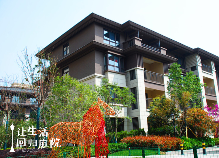 前后张望南阳50年：这样的天井，很难再有了！