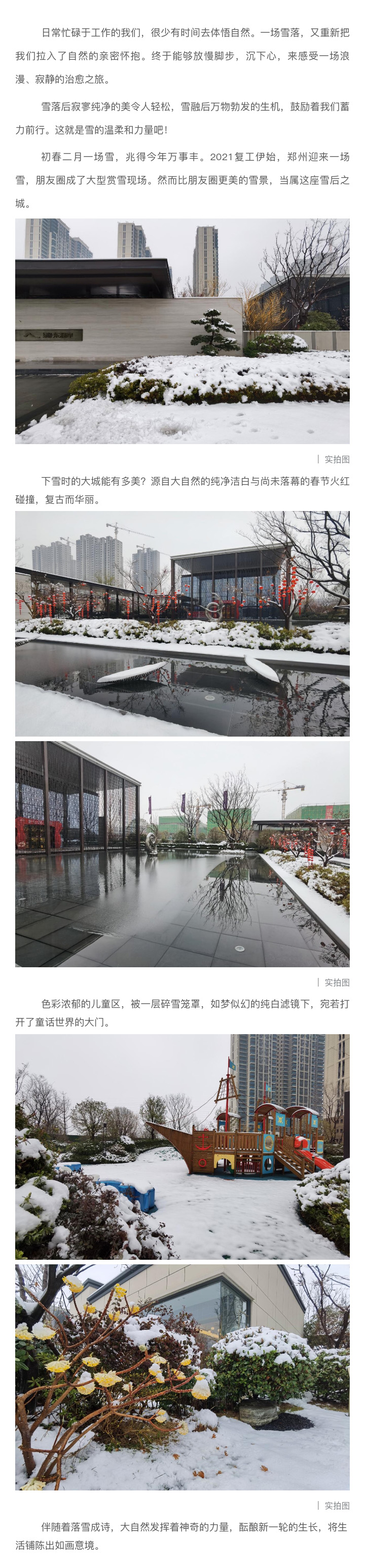 2021浪漫开年，共赏一场鹅毛大雪！