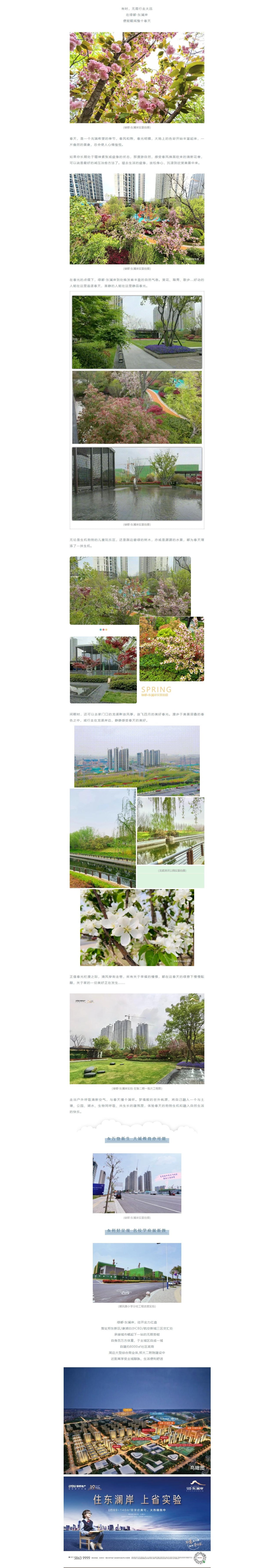 赏花踏青，来一场和春天的约会