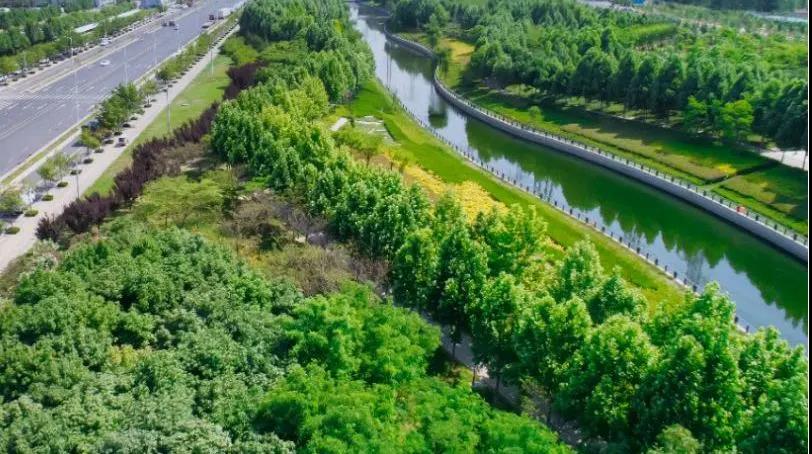 定了！“神兽”线上开学，家里有学生的必看！