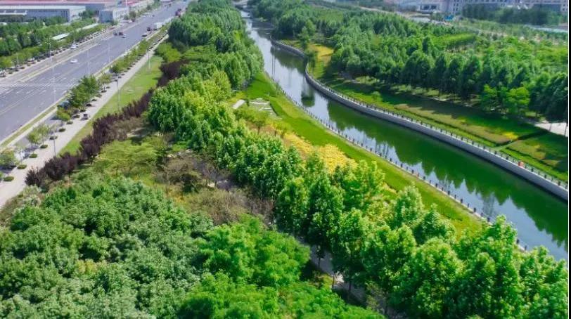 8#楼王加推在即 | 经开顶流热盘，这一次千万别错过！