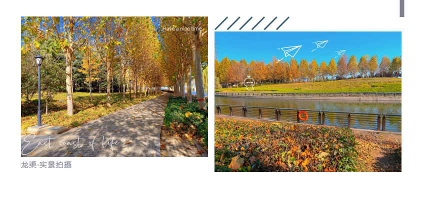 钜惠即止，捡漏经开超人气明星热盘！