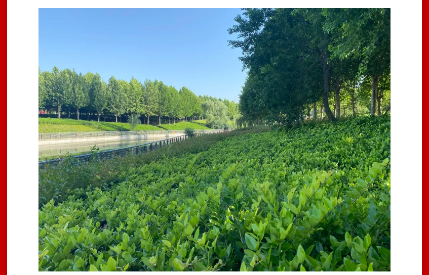 年终薅好房，这个明星红盘把“出圈”进行到底！